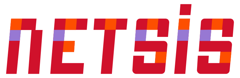 ERP Entegrasyonu 5 netsis